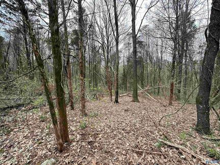 Undeveloped Land for sale in Madison County, Alabama