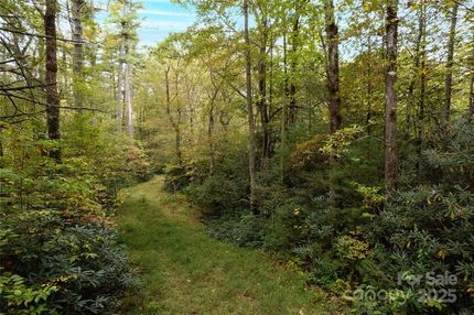 Undeveloped Land for sale in Transylvania County, North Carolina