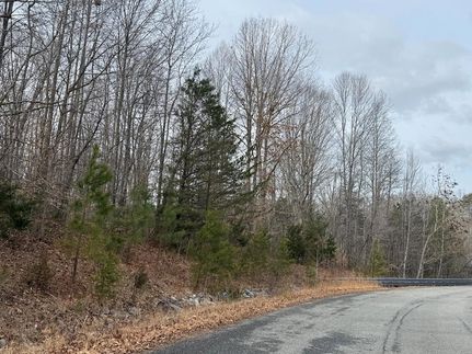 Undeveloped Land for sale in Prince Edward County, Virginia