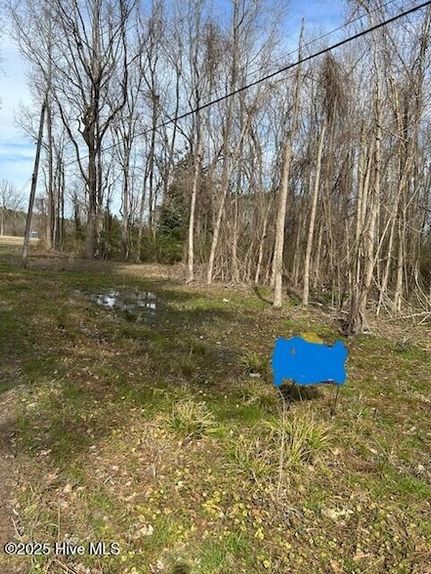 Undeveloped Land for sale in Bertie County, North Carolina