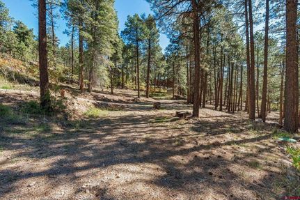 Undeveloped Land for sale in La Plata County, Colorado