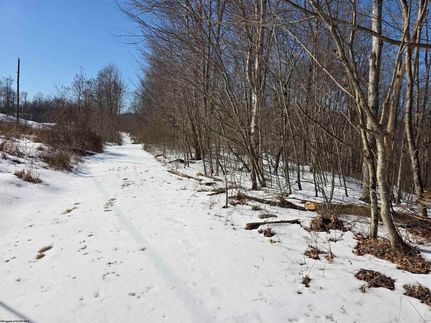 Undeveloped Land for sale in Taylor County, West Virginia