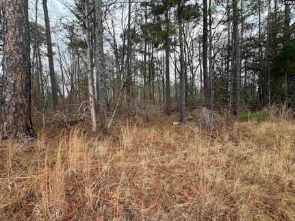 Undeveloped Land for sale in Newberry County, South Carolina