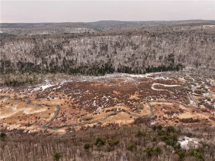 Undeveloped Land for sale in Tioga County, New York