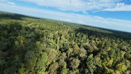 Undeveloped Land for sale in Liberty County, Florida