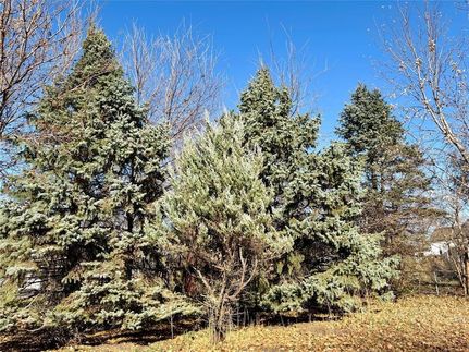 Undeveloped Land for sale in Story County, Iowa