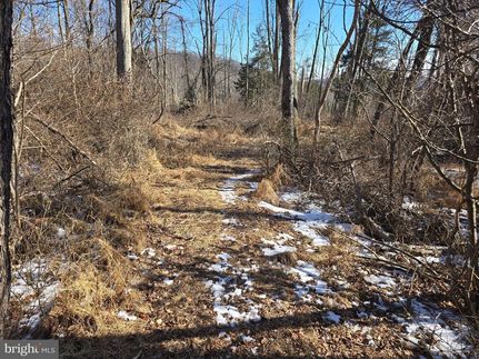 Undeveloped Land for sale in Berks County, Pennsylvania