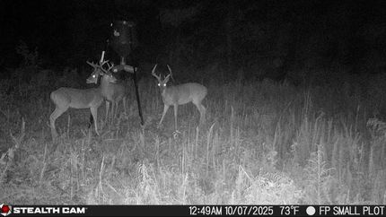 Farm Property for sale in Franklin County, Mississippi