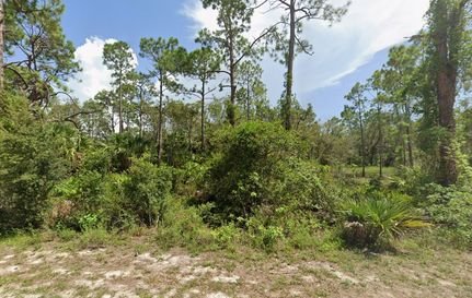 Undeveloped Land for sale in Charlotte County, Florida