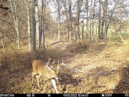 Timberland Property in Ashtabula County, Ohio
