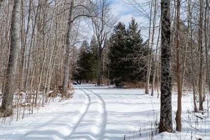 Recreational Property for sale in Alpena County, Michigan