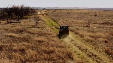 Hunting Land for sale in Young County, Texas