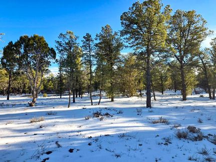 Timberland Property for sale in Cibola County, New Mexico