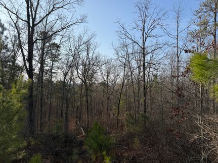 Undeveloped Land for sale in Cherokee County, Georgia