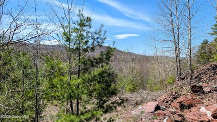 Waterfront Property for sale in Washington County, New York