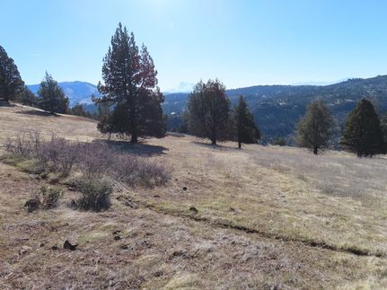 Undeveloped Land for sale in Siskiyou County, California