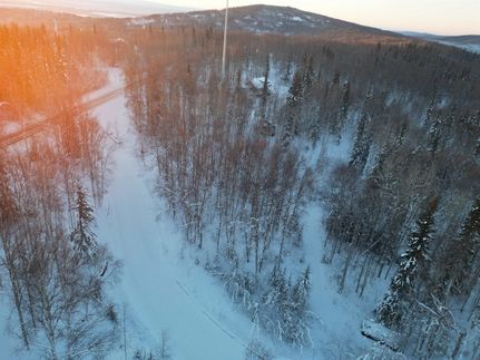 Undeveloped Land for sale in Fairbanks North Star Borough, Alaska