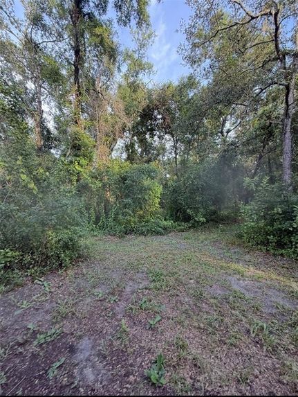Waterfront Property for sale in Pasco County, Florida