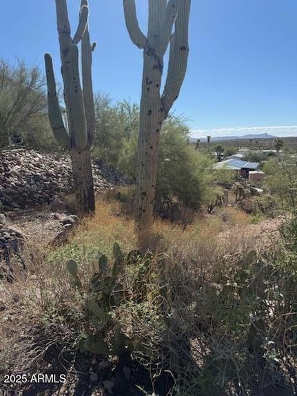 Undeveloped Land for sale in Pinal County, Arizona