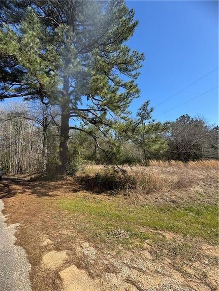 Undeveloped Land for sale in Rapides Parish, Louisiana