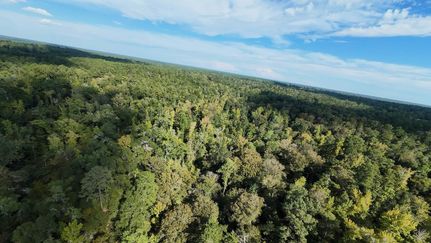 Undeveloped Land for sale in Liberty County, Florida