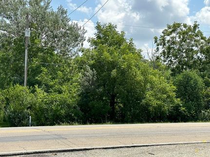Undeveloped Land for sale in Will County, Illinois