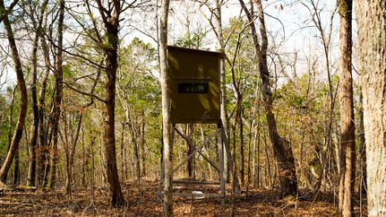 Timberland Property for sale in Jackson County, Alabama
