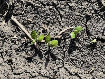 Farm Property for sale in Livingston County, Illinois