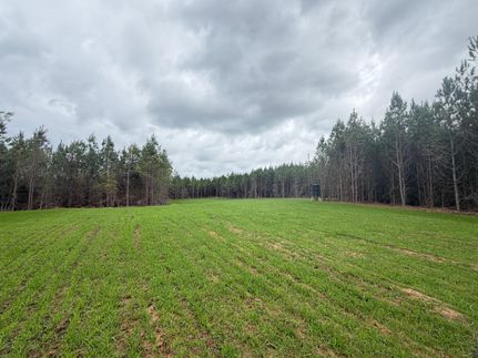 Farm Property for sale in Covington County, Alabama