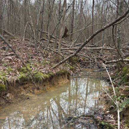 Timberland Property for sale in Talladega County, Alabama