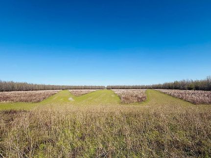 Farm Property for sale in Sharkey County, Mississippi