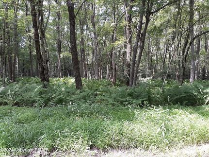 Ranch Property for sale in Carbon County, Pennsylvania