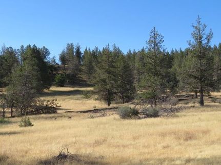 Undeveloped Land for sale in Siskiyou County, California
