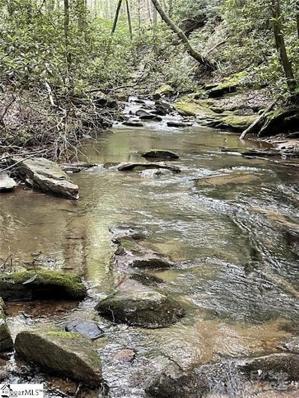 Undeveloped Land for sale in Polk County, North Carolina