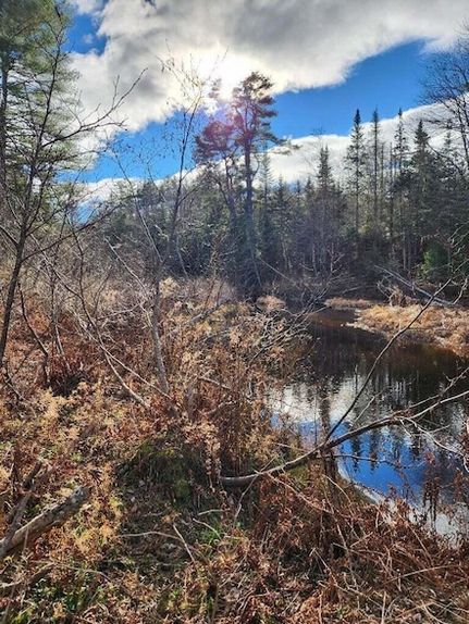 Timberland Property for sale in Waldo County, Maine