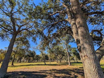 Farm Property for sale in Brazoria County, Texas