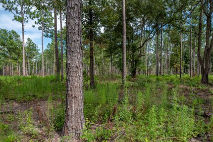 Recreational Property for sale in Baker County, Georgia