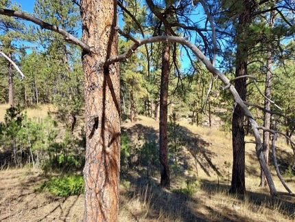 Ranch Property for sale in Musselshell County, Montana