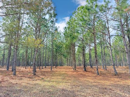 Farm Property for sale in Dillon County, South Carolina