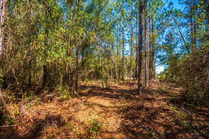 Farm Property for sale in Columbia County, Florida