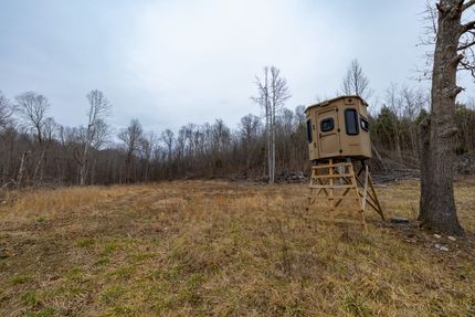 Recreational Property for sale in Livingston County, Kentucky