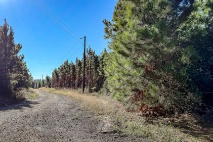 Farm Property for sale in Sabine Parish, Louisiana