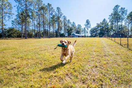 Ranch Property for sale in Brooks County, Georgia