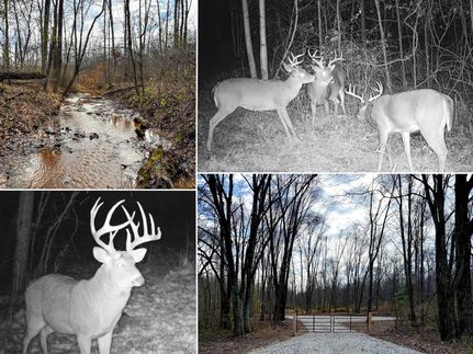 Residential Property for sale in Perry County, Ohio