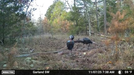 Residential Property for sale in Izard County, Arkansas