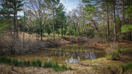 Farm Property for sale in Leon County, Texas