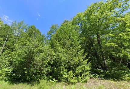 Farm Property for sale in Iosco County, Michigan