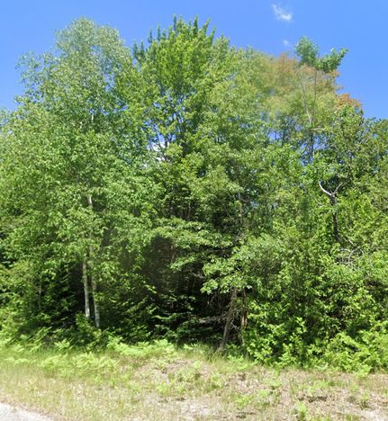Farm Property for sale in Iosco County, Michigan
