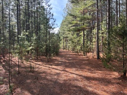 Recreational Property for sale in Lunenburg County, Virginia