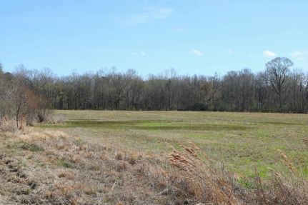 Farm Property for sale in Hinds County, Mississippi